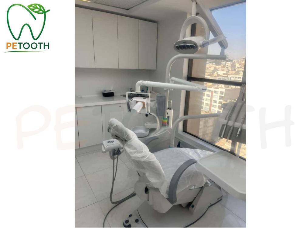 رادیوگرافی پرتابل وودپکر DTE مدل مستر ری