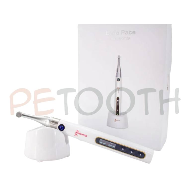 روتاری اندو پیس