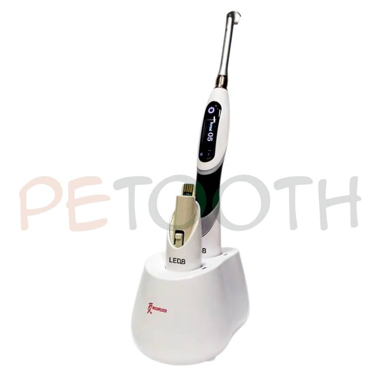 مد کاری لایت کیور woodpecker مدل B Cure Plus