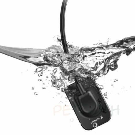 سنسور RVG وودپکر woodpecker (kp) kevin peter مدل K-Sensor