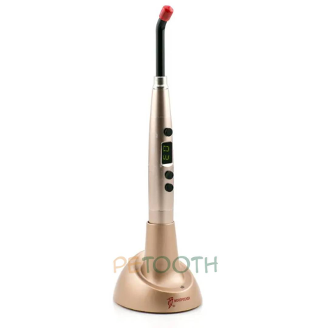 لایت کیور وودپکر Woodpecker مدل LED-H Ortho | پتوس