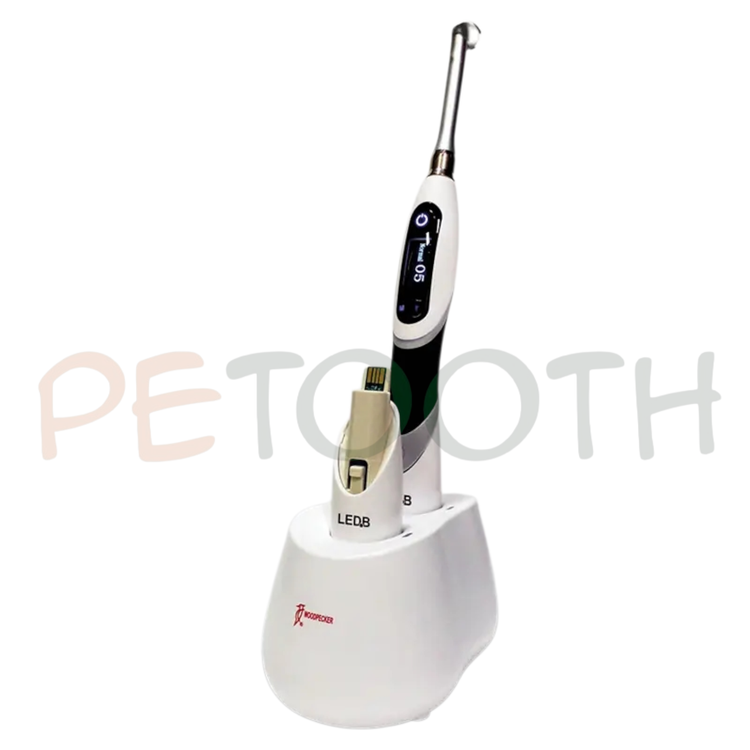 لایت کیور وودپیکر Woodpecker Dte مدل B-Cure Plus | پتوس