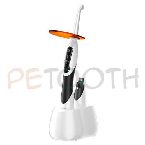 لایت کیور وودپیکر Woodpecker Dte مدل B-Cure Plus | پتوس