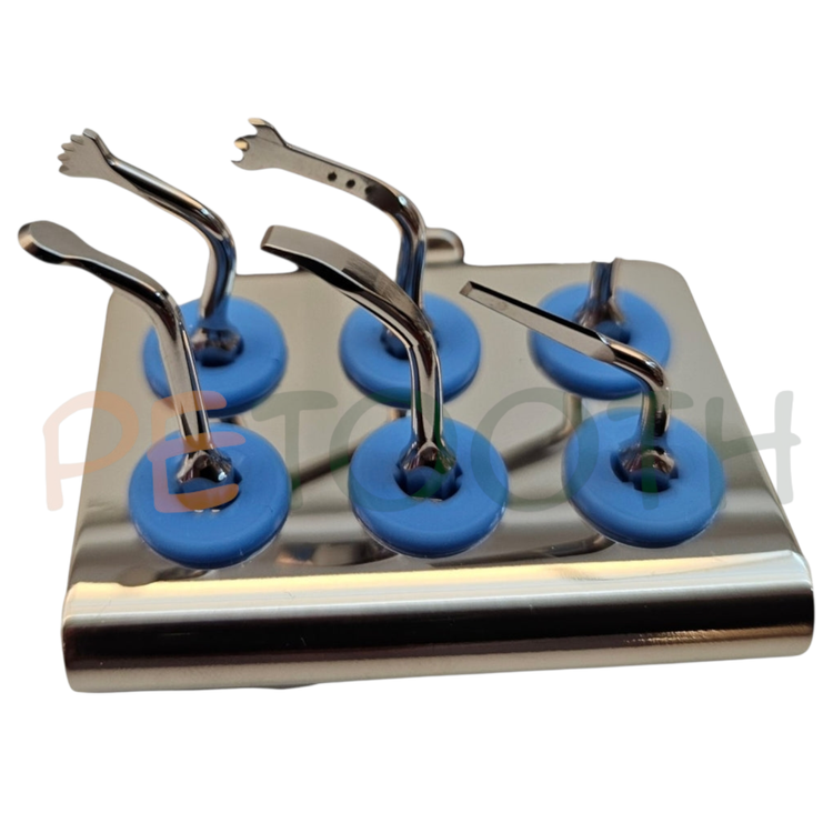 پیزوسرجری وودپکر woodpecker مدل surgic smart | پتوس