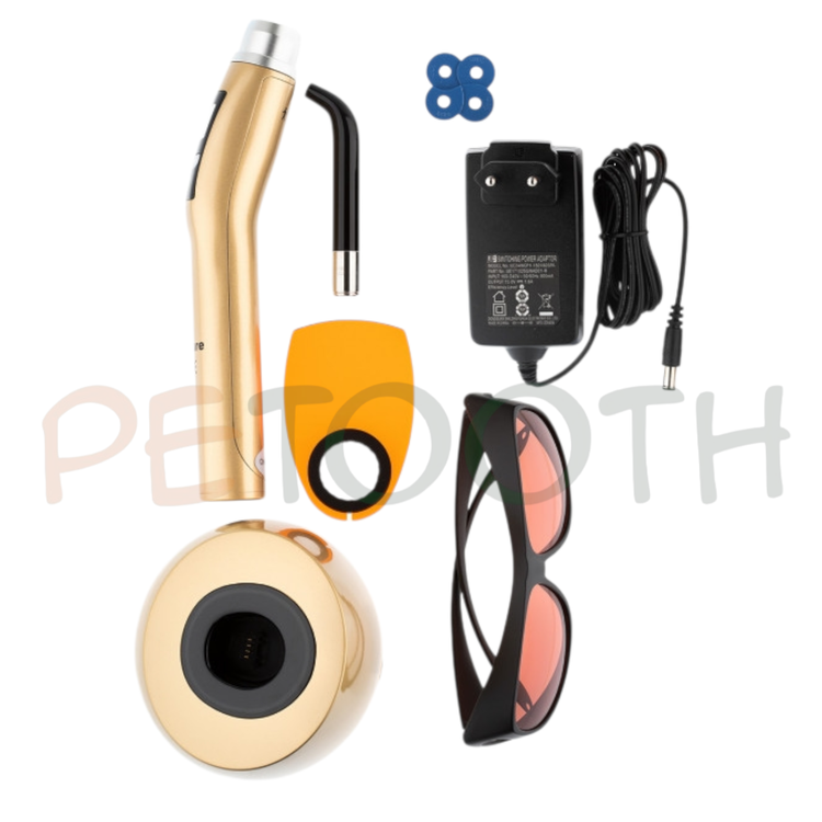 لایت کیور وودپکر Woodpecker مدل XCure | پتوس