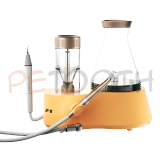 دستگاه ایرپالیشینگ و اولتراسونیک AP-B وودپکر | پتوس