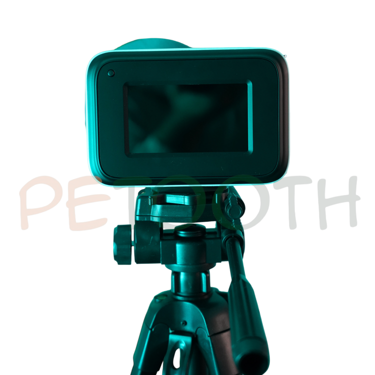 رادیوگرافی پرتابل سیف ری Safe Ray | پتوس