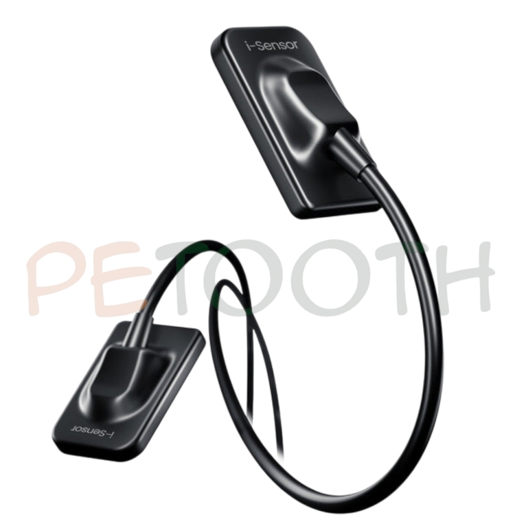 سنسور RVG وودپکر DTE مدل iSensor | پتوس