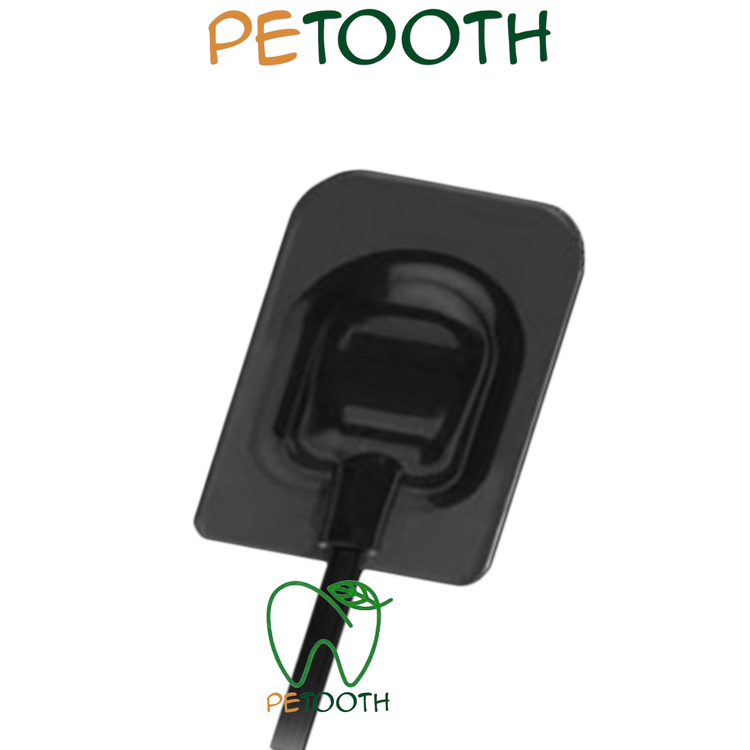 سنسور RVG زیگر siger | پتوس دنتال