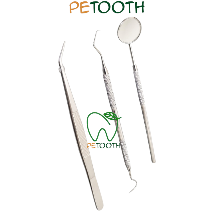 ست معاینه دنا پویا | پتوس دنتال