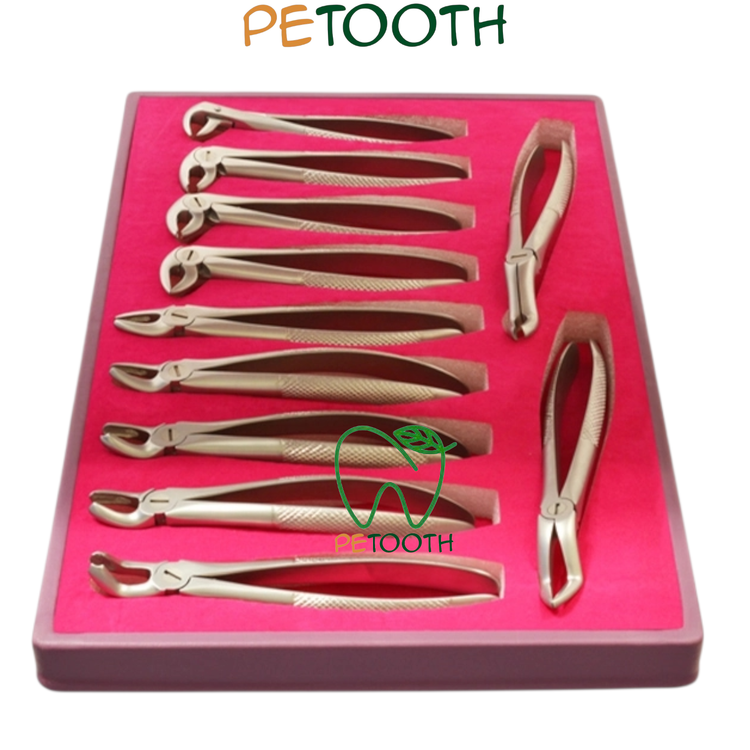 ست فورسپس فالکن | پتوس دنتال