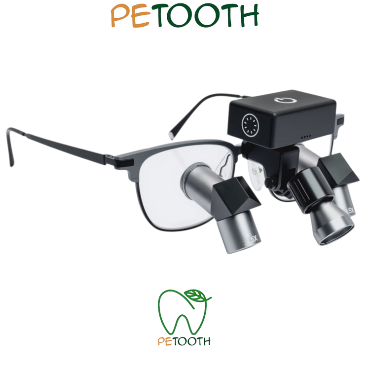 لوپ بورایت Burite | پتوس دنتال