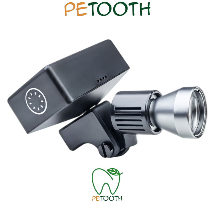 لوپ بورایت Burite | پتوس دنتال