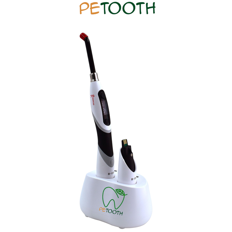 لایت کیور وودپکر Woodpecker مدل B-Cure