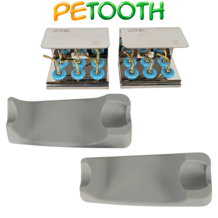 پیزوسرجری وودپکر DTE مدل DS-II LED