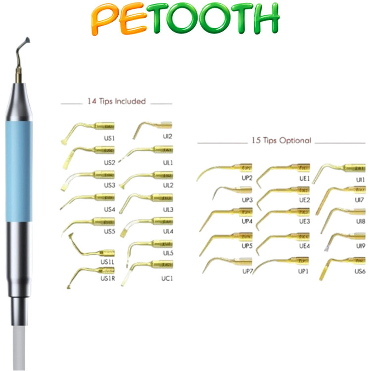 پیزوسرجری وودپکر DTE مدل DS-II LED